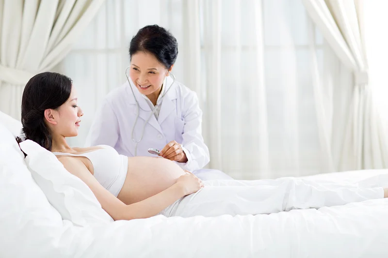 doctor-examining-pregnant-woman-at-home-2024-10-17-23-29-11-utc_111