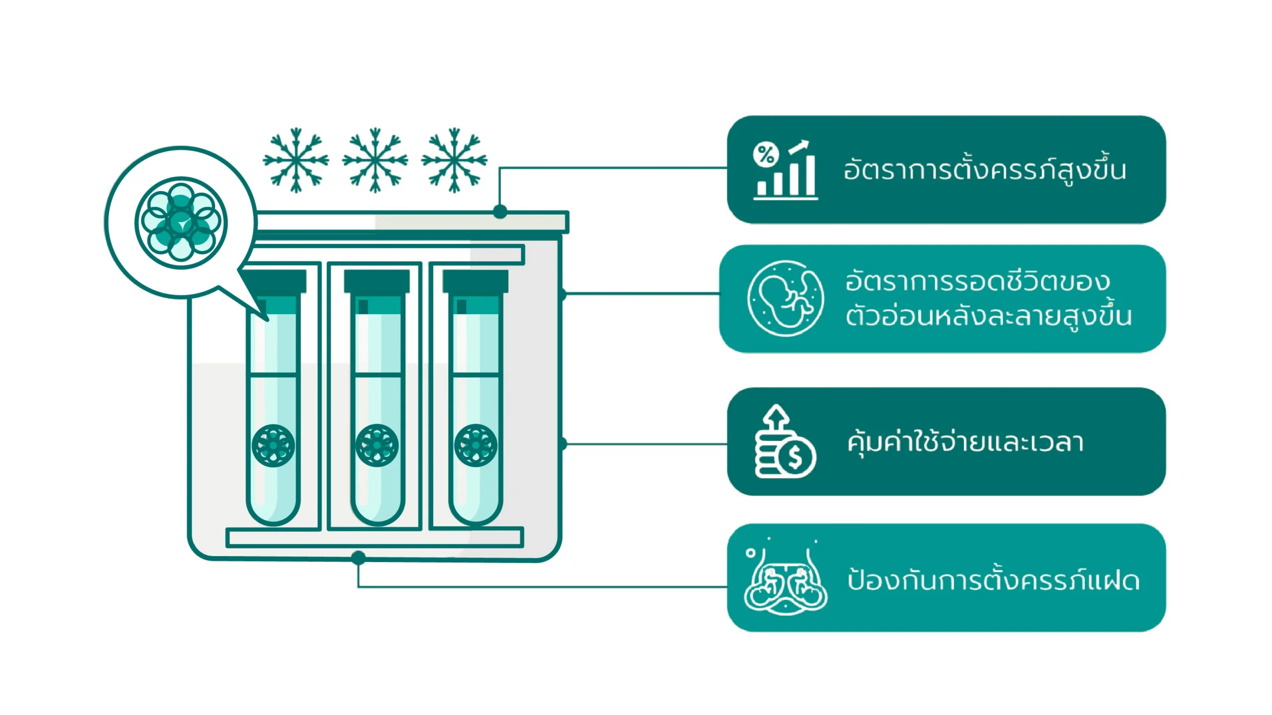 ภาพ giftfertility-53