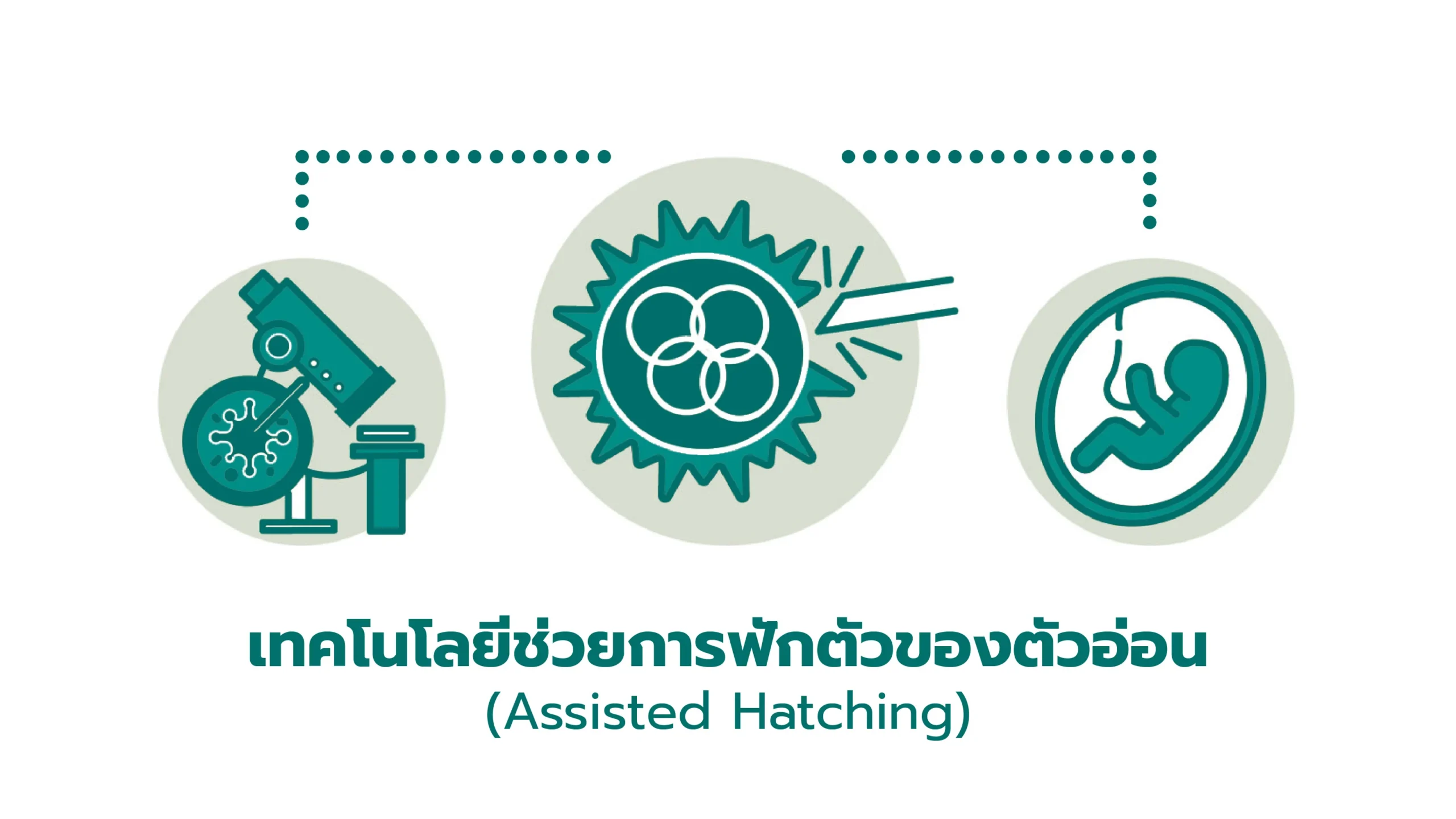 ภาพ giftfertility-54